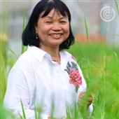 Nguyễn Thị Lang