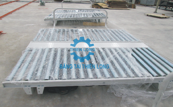 BĂNG TẢI CON LĂN TỰ DO 02