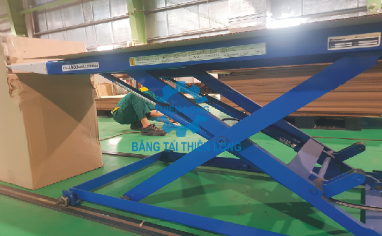BĂNG TẢI CON LĂN TỰ ĐỘNG 02