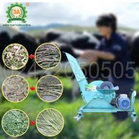 Máy băm cây sắn, cỏ voi 3A3Kw
