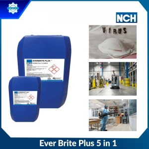 EVER BRITE PLUS 5 IN 1 - DUNG DỊCH KHỬ KHUẨN, LÀM SẠCH
