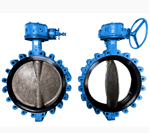 Joint cao su van bướm (Butterfly Valve Seal)