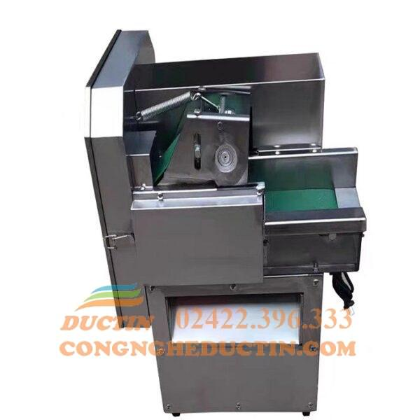 Máy thái rau củ quả tự động ĐT-TR01