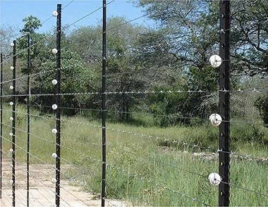 Hàng rào an ninh Elictric Fencing