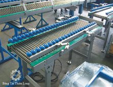 BĂNG TẢI CON LĂN TỰ DO 12