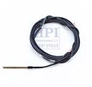 ĐẦU DÒ NHIỆT ĐỘ FULL IMMERSION PRT (-196OC) ACCUMAC – AM1612