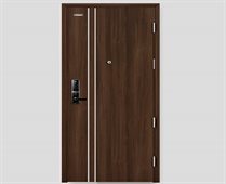 CỬA NGĂN CHÁY VÂN GỖ 1 CÁNH