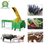 Máy băm cây sắn, cỏ voi 3A11kW