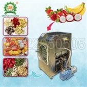 Máy sấy thăng hoa 3A HR-03