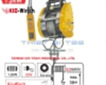 Tời Điện KIO SK160-30M 220V