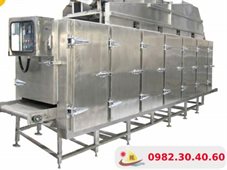 Máy Sấy Băng Tải Liên Tục