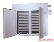 Tủ Sấy Tuần Hoàn Khí Nóng 02 Cửa
