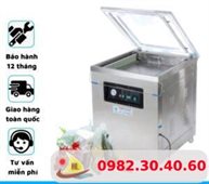 Máy Hút Chân Không 1 Buồng DZQ-600/1