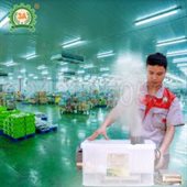Máy phun sương tạo ẩm nhà nấm, nhà yến 3A510W
