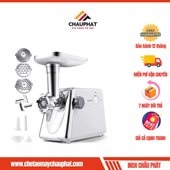 Máy xay thịt 300w mini gia đình