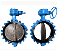 Joint cao su van bướm (Butterfly Valve Seal)