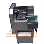 Máy thái rau củ quả tự động ĐT-TR01