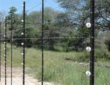 Hàng rào an ninh Elictric Fencing