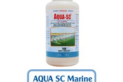 AQUA SC MARINE - VI SINH XỬ LÝ AO NUÔI TÔM NƯỚC MẶN
