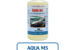 AQUA M5 - VI SINH XỬ LÝ KHÍ ĐỘC NH3, NO2, H2S TRONG AO NUÔI THỦY SẢN