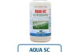 AQUA SC - VI SINH XỬ LÝ MÔI TRƯỜNG NƯỚC AO NUÔI THỦY SẢN, HỒ CÁ KOI
