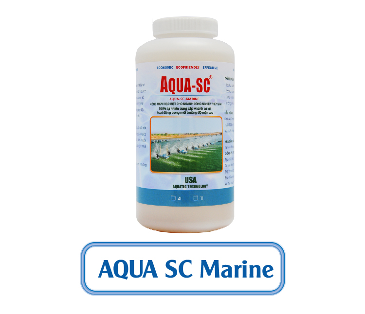 AQUA SC MARINE - VI SINH XỬ LÝ AO NUÔI TÔM NƯỚC MẶN