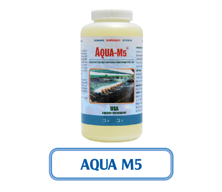 AQUA M5 - VI SINH XỬ LÝ KHÍ ĐỘC NH3, NO2, H2S TRONG AO NUÔI THỦY SẢN