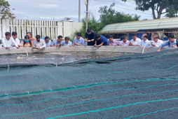 Quy trình nuôi tôm thẻ chân trắng siêu thâm canh trong hệ thống tuần hoàn kết hợp đa loài