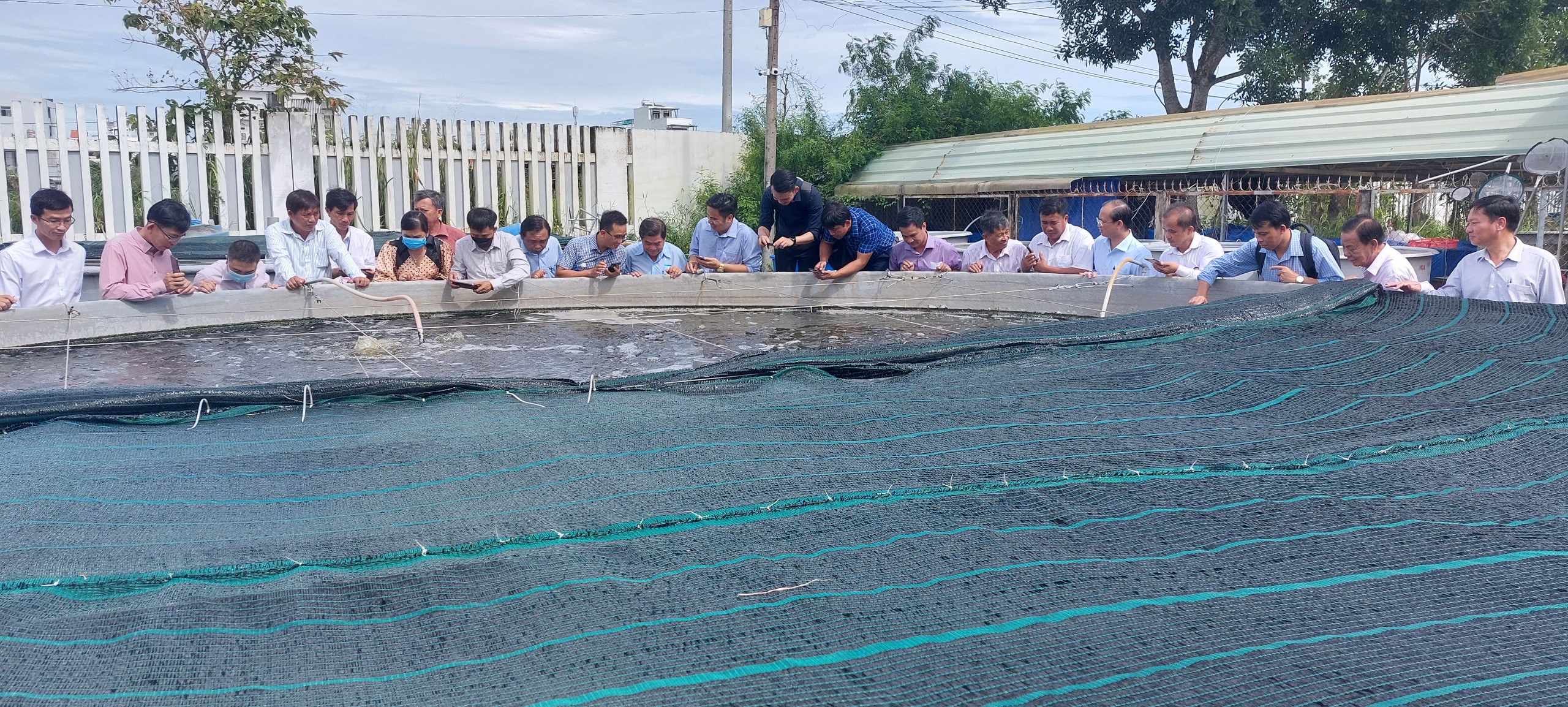 Quy trình nuôi tôm thẻ chân trắng siêu thâm canh trong hệ thống tuần hoàn kết hợp đa loài
