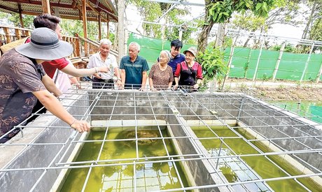 Hỗ trợ doanh nghiệp, tổ chức, cá nhân phát triển tài sản trí tuệ